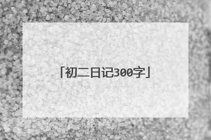 初二日记300字