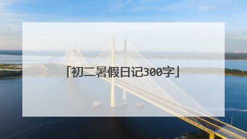 初二暑假日记300字