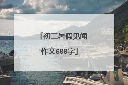 初二暑假见闻作文600字
