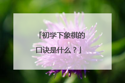 初学下象棋的口诀是什么？
