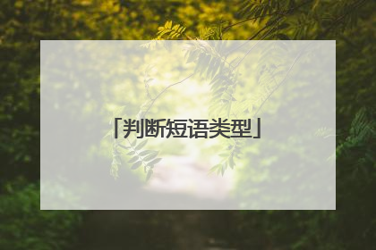 判断短语类型