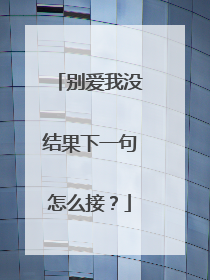 别爱我没结果下一句怎么接？