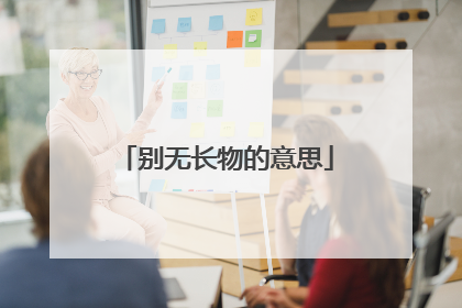 别无长物的意思