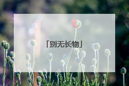 别无长物