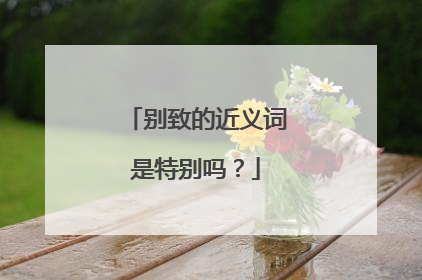 别致的近义词是特别吗？