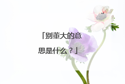 别董大的意思是什么？
