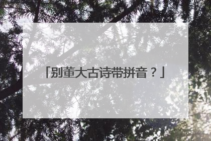 别董大古诗带拼音？