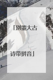 别董大古诗带拼音