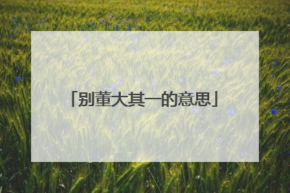 别董大其一的意思