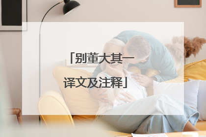 别董大其一译文及注释