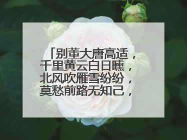 别董大唐高适，千里黄云白日曛，北风吹雁雪纷纷，莫愁前路无知己，天下谁人不识君？的意思