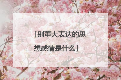 别董大表达的思想感情是什么