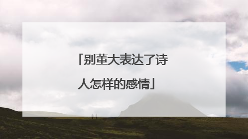别董大表达了诗人怎样的感情
