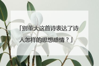 别董大这首诗表达了诗人怎样的思想感情？