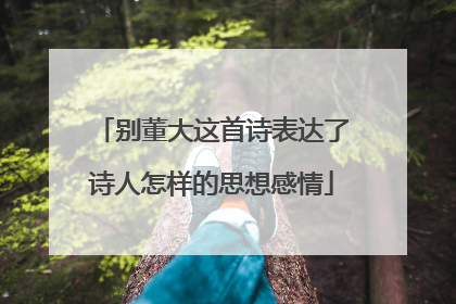 别董大这首诗表达了诗人怎样的思想感情