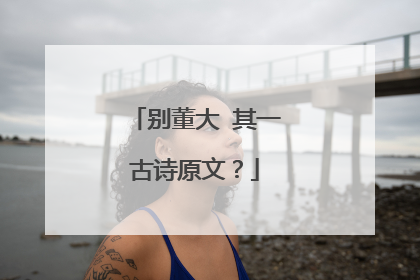 别董大 其一古诗原文？