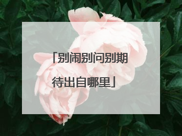 别闹别问别期待出自哪里