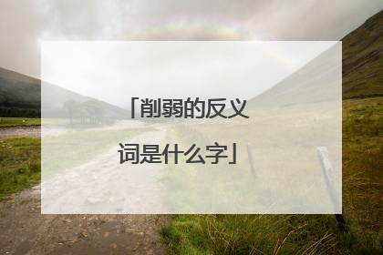 削弱的反义词是什么字