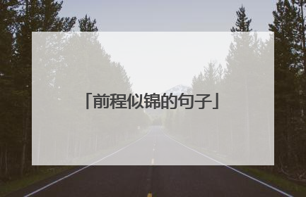 前程似锦的句子