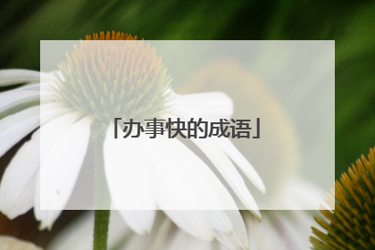 办事快的成语