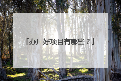 办厂好项目有哪些?