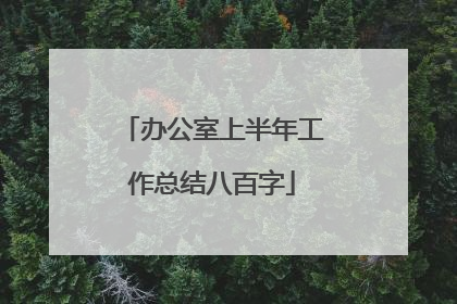 办公室上半年工作总结八百字