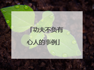 功夫不负有心人的事例