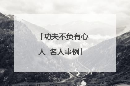 功夫不负有心人 名人事例