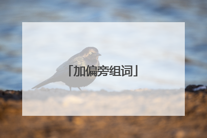 加偏旁组词