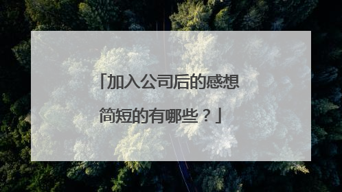 加入公司后的感想简短的有哪些?