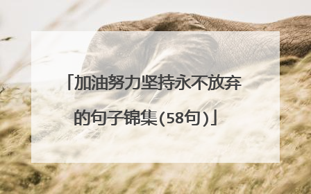 加油努力坚持永不放弃的句子锦集(58句)