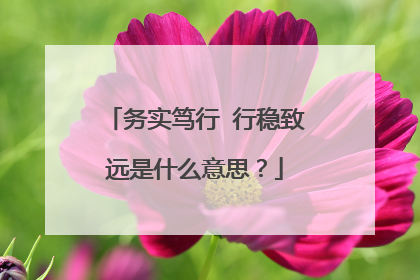 务实笃行 行稳致远是什么意思？