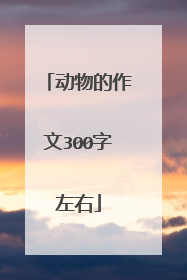 动物的作文300字左右
