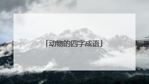 动物的四字成语