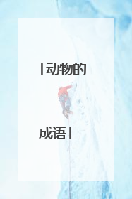 动物的成语