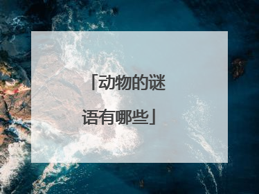 动物的谜语有哪些