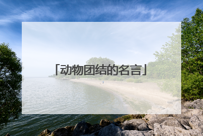 动物团结的名言