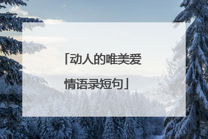 动人的唯美爱情语录短句