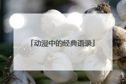 动漫中的经典语录