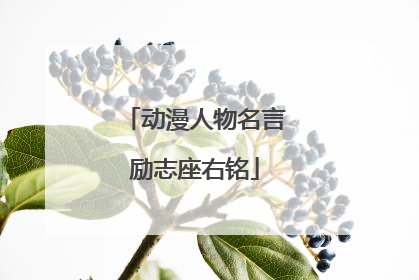 动漫人物名言励志座右铭