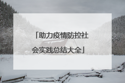 助力疫情防控社会实践总结大全