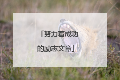 努力着成功的励志文章