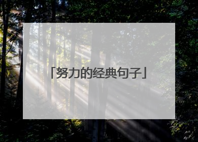 努力的经典句子