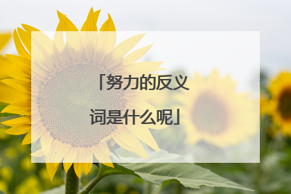 努力的反义词是什么呢