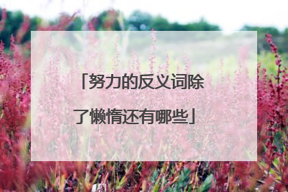 努力的反义词除了懒惰还有哪些