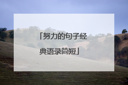 努力的句子经典语录简短