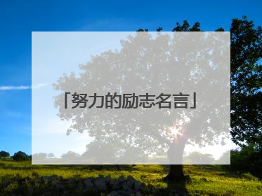 努力的励志名言