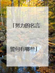 努力的名言警句有哪些