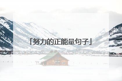 努力的正能量句子