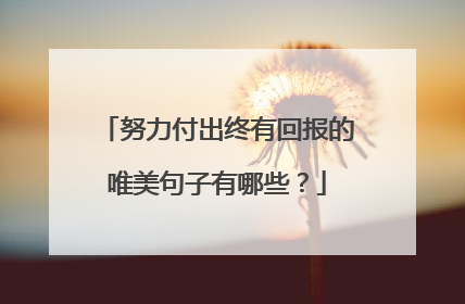 努力付出终有回报的唯美句子有哪些？